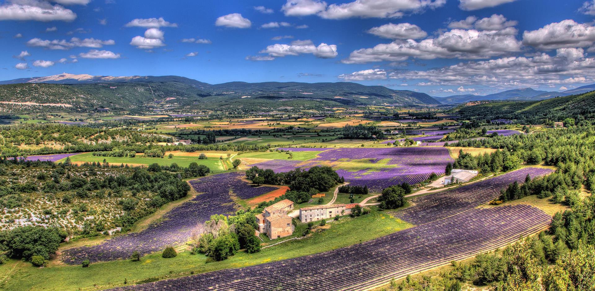 stuk Verdrag Vloeibaar Luxury Villas in Provence France 2023/2024 | A&K Villas