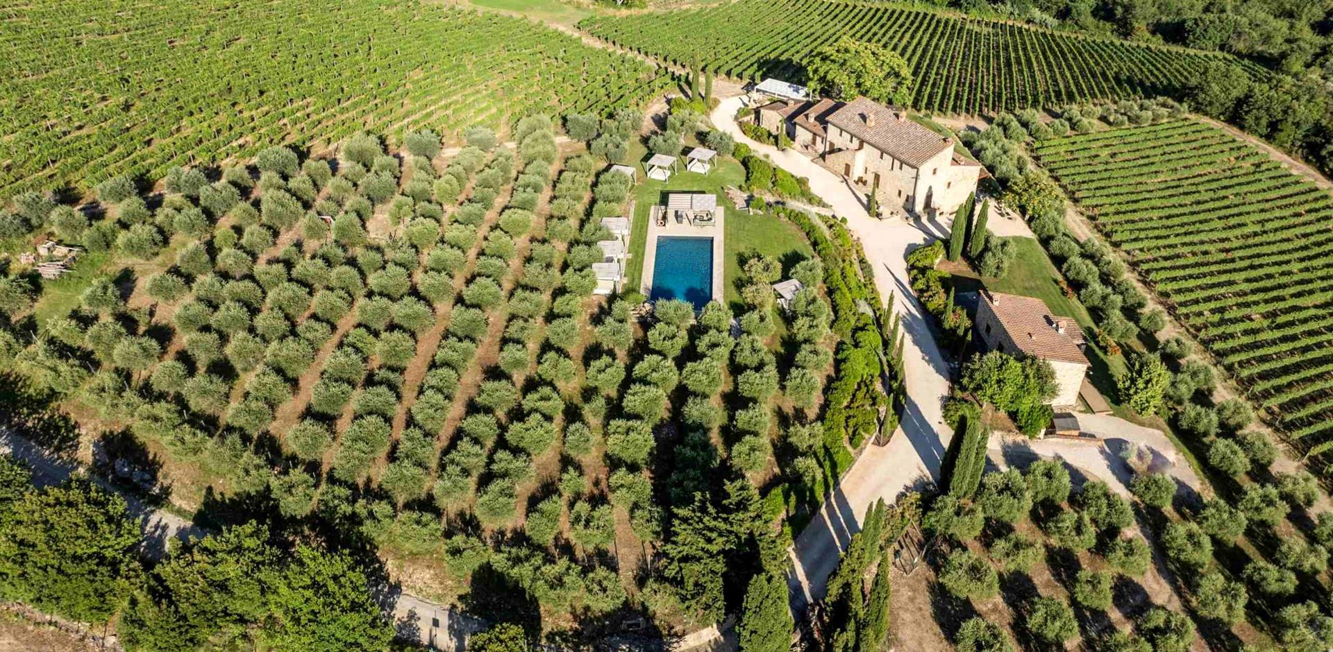 Aerial view, Il Cellese, Tuscany, Italy